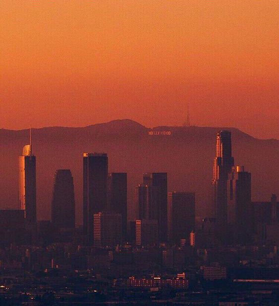 LOS ANGELES FIELD GUIDE – WILLBO